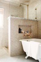 bathroom-pony-wall-with-niche-shower-next-to-claw-foot-tub-gold-shower-head